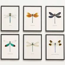 6pcs/Set Dragonfly Specimen Posters Suitable For Kids Room Decor - Vertical Wall Charts, Modern Art Prints With Dragonfly & Suitable For Bedroom, Educational Gifts For Teen And,Halloween Christmas Decor - Cartoon - View 1