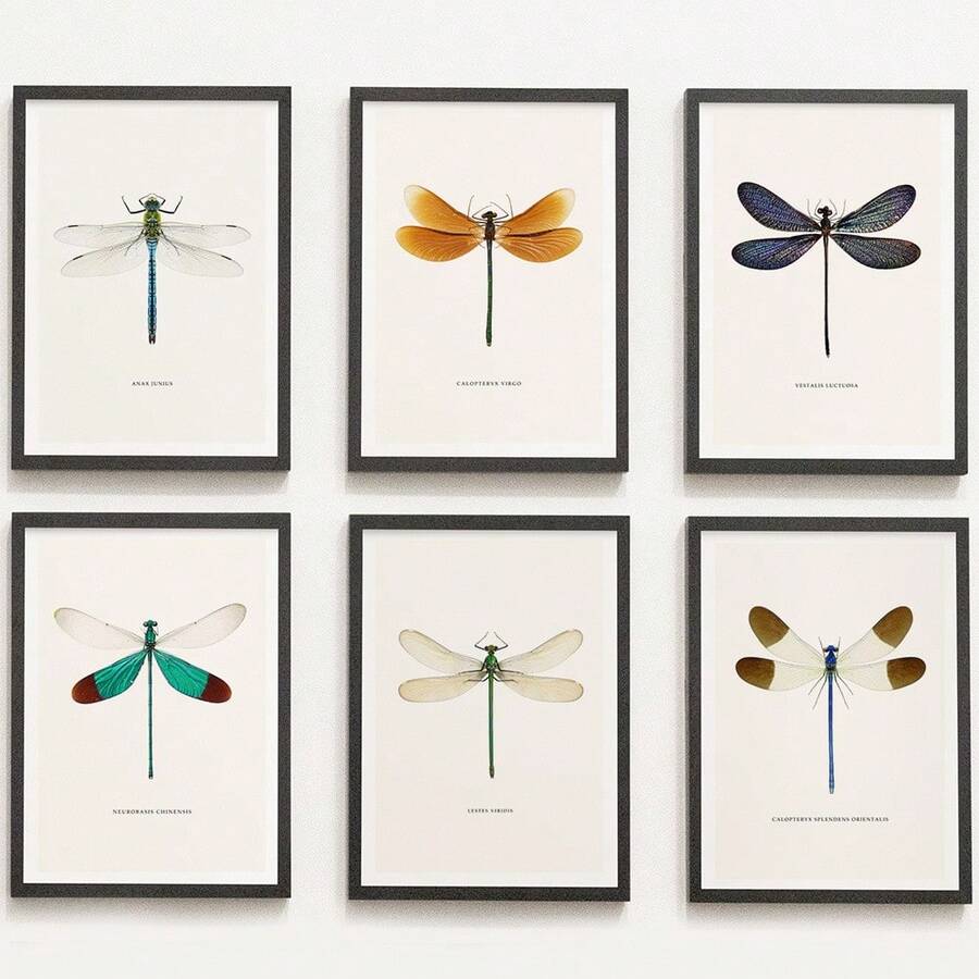 6pcs/Set Dragonfly Specimen Posters Suitable For Kids Room Decor - Vertical Wall Charts, Modern Art Prints With Dragonfly & Suitable For Bedroom, Educational Gifts For Teen And,Halloween Christmas Decor - Cartoon - View 1