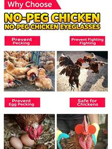 25/50/100pcs No-Rod Eye Protection Glasses, Eye Covers, Anti-Pecking Glasses, Anti-Pecking Feathers, Anti-Fighting, Chicken Accessories - A - View 7