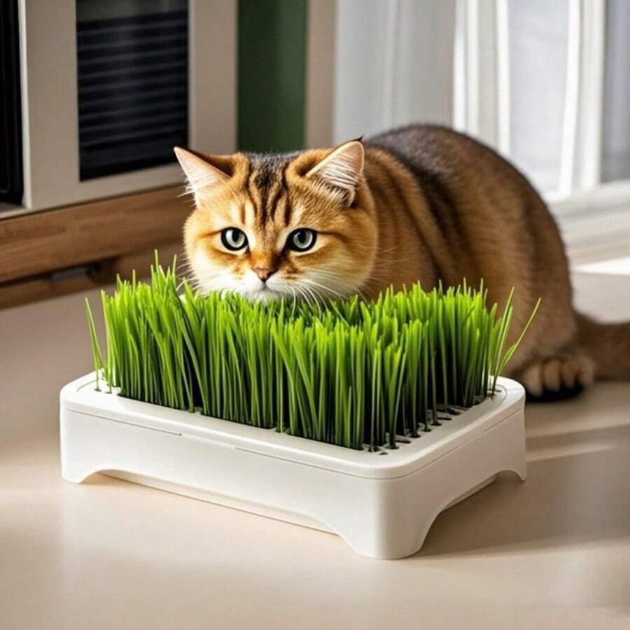1pc Hydroponic Cat Grass Growing Tray, No‑Soil Seed Sprouting Tray, Kitty Wheat Grass Planting Box For Indoor Pet Hairball Relief