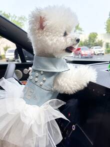 PETCIRCLE 1PC Pet Clothes Small Dog Puppy Cute Pet Collar Design Letter Pearl Puff Skirt Bridal Dress - Blue - View 3