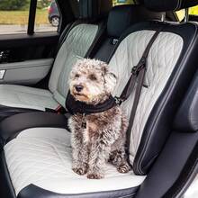 1pc Dog Car Seat Tether, Pet Dog Car Seat Safety Belt, 3-Point Safety Harness For Dogs In Car, Dog Car Seat Tether, Dog Car Seat Buckle, Dog Car Seat Rope Christmas Gift - Multicolor - View 7