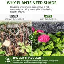 Shade Cloth - Multicolor - View 3