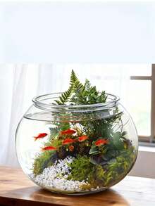 Bể cá cảnh nhựa trong suốt, môi trường sống mini cho cá Betta, bể hệ sinh thái cảnh quan nước để bàn, trang trí phòng khách tại nhà, bình trồng cây thủy sinh cảnh quan - Trong sáng - Xem 5