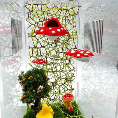 3-Piece Red Mushroom Shaped Magnetic Jumping Spider Hideout Set, With Hole Hiding Spot And Cuttable Dual-Color Climbing Net, Magnetic Easy Installation And Easy Cleaning, Jumping Spider Habitat Landscape Decoration Resting Platform And Feeding Accessories Kit, Suitable For Spiders, Mantises, Tarantulas And Other Small Arthropod Pets Climbing, Resting And Exploring Activities