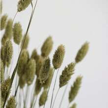 25/50/100件 人造寶石草，人造植物，多色可選，適用於家居裝飾、花瓶裝飾、DIY花束、蛋糕裝飾 - 原色 - 查看 6