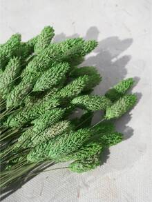 25/50/100件人造寶石草 人造植物 多色可選 用於家居裝飾、花瓶裝飾、DIY花束、蛋糕裝飾 - 嫩綠色 - 查看 7