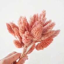 25/50/100Pcs Artificial Gem Grass, Artificial Plants, Multiple Colors Available, For Home Decor, Vase Decoration, DIY Bouquets, Cake Decoration - Pink - View 5
