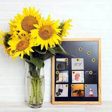 20/30 cái đinh ghim hoa hướng dương vàng, ghim trang trí cho bảng bần, ảnh, bản đồ tường và đồ dùng học tập - Nhiều màu - Xem 3