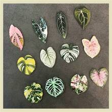 12pcs/9pcs/7pcs/5pcs/4pcs/2pcs Artificial Plant Leaf Fridge Magnets, Fun Decorative Magnetic Stickers, Suitable For Kitchen And Office, Also Suitable For Whiteboard And Refrigerator, Holiday Gift, Valentine's Day Gift, Christmas Gift - Multicolor - View 4