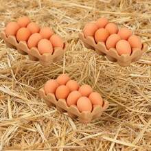 Miniature Egg Tray Set 8/24 - Realistic Kitchen Scene, Includes 8 Eggs And 1 Egg Tray, Miniature Model Enthusiast, Model Accessories | Realistic Miniature Model | Exquisite Miniature Model (Slight Color Difference Depending On The Batch) - A - View 10