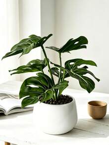 Cây cảnh giả trồng chậu Monstera màu xanh, chậu cây mini giả, cỏ giả trồng chậu, phụ kiện trang trí nhà cửa, cây giả nhỏ trang trí nhà, hoa giả trang trí đám cưới - Nhiều màu - Xem 1