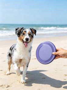 Pet Dog Flying Disc Toy, Bite Resistant Fetch , Floating Interactive Play Toy For Outdoor Park Beach Backyard Dog Training Games, Assorted Multi Colors - Multicolor - View 9