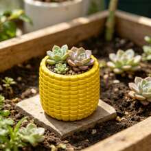 Corn-Shaped Window Sill Small Flower Pot, Corn Kernel Texture, Suitable For Planting Succulents, Daisies, Mini Green Plants, Compact And Space-Saving, Fits Home Window Sill, Desk, Office Desk, Balcony Decoration, Desktop Micro Landscape Ornament, Cute Flower Pot For Planting - Corn-shaped Flower Pot - View 5