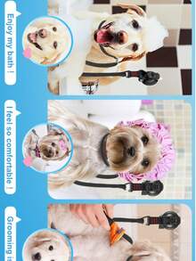 Cat & Dog Bathing Restraint Suction Cup Pet Grooming Clipper Trimming Blow Dry Leash Dog Grooming Table Tether Pet Supplies - View 6