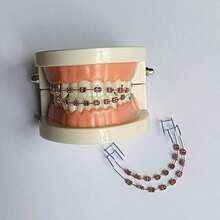 Fashionable Denture Corrector Box, Suitable For All Teeth, Rich Colors, Durable And Sturdy, Easy To Carry, Suitable For Daily Wear And Holiday Party Costumes, Luxurious Decorative Accessory - Multicolor - View 9