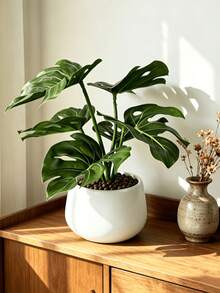 Cây cảnh giả trồng chậu Monstera màu xanh, chậu cây mini giả, cỏ giả trồng chậu, phụ kiện trang trí nhà cửa, cây giả nhỏ trang trí nhà, hoa giả trang trí đám cưới - Nhiều màu - Xem 8