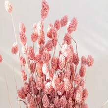 25/50/100Pcs Artificial Gem Grass, Artificial Plants, Multiple Colors Available, For Home Decor, Vase Decoration, DIY Bouquets, Cake Decoration - Pink - View 1