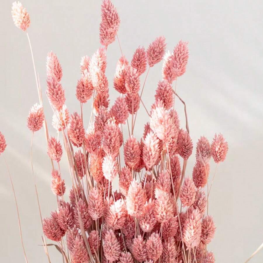 25/50/100Pcs Artificial Gem Grass, Artificial Plants, Multiple Colors Available, For Home Decor, Vase Decoration, DIY Bouquets, Cake Decoration - Pink - View 1
