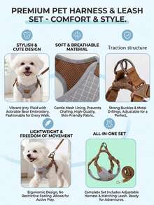 Breathable & Comfortable Polyester Pet Leash Set, Cute Teddy Bear Pattern, Suitable For Small Teddy Bear Outdoor Leash Use, Comes With Dog Collar - Grey - View 5