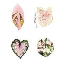 12pcs/9pcs/7pcs/5pcs/4pcs/2pcs Artificial Plant Leaf Fridge Magnets, Fun Decorative Magnetic Stickers, Suitable For Kitchen And Office, Also Suitable For Whiteboard And Refrigerator, Holiday Gift, Valentine's Day Gift, Christmas Gift - Multicolor - View 6