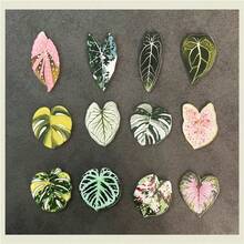 12pcs/9pcs/7pcs/5pcs/4pcs/2pcs Artificial Plant Leaf Fridge Magnets, Fun Decorative Magnetic Stickers, Suitable For Kitchen And Office, Also Suitable For Whiteboard And Refrigerator, Holiday Gift, Valentine's Day Gift, Christmas Gift - Multicolor - View 1