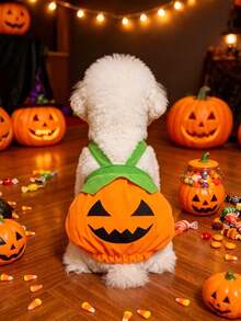 Halloween Pumpkin Pet Harness Dress, Funny Pumpkin Costume For Teddy, Bichon, Small Dogs And Cats - Orange - View 9