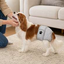 Female Dog Sanitary Panties, Dog Diaper, Anti-Harassment, Clean And Dirt-Proof, Washable, Comfortable And Durable, Dog Comfort Panties - Grey - View 3