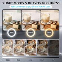 TOKQI RGB Color LED Lighting Set ,10'' Detachable Ring Fill Light With Adjustable Angle Phone Holder Arm And Phone Mount,Dimmable LED Selfie Light,Compatible With Multi Model Phones,Suitable For Recording, Live Streaming,Makeup, Nail Art, Cooking,Shooting - one-size - View 3