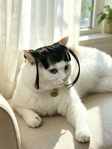 Pet Bangs Wig With Sideburns, Women's Universal Version, Funny Cartoon Bangs Hair Accessory For Cats And Dogs, Cute Pet Cosplay Photo Prop, Halloween Pet Costume Accessory, High-Temperature Fiber Pet Bangs Hair Accessory, Humorous Sideburns Wig Cosplay Accessory - Multicolor - View 12