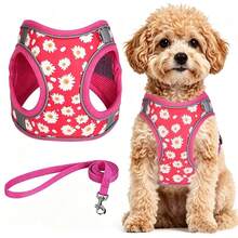 Step-In Anti-Collision Floral Adjustable Soft Mesh Reflective Pet Vest Harness & Leash Set, Purple Floral Pattern Dog Harness & Leash Set, Escape-Proof Puppy Harness Training Walking, Breathable Adjustable Puppy Vest, Suitable For Small And Medium Dogs And Cats - Multicolor - View 7