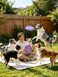 Pet Dog Flying Disc Toy, Bite Resistant Fetch , Floating Interactive Play Toy For Outdoor Park Beach Backyard Dog Training Games, Assorted Multi Colors - Multicolor - View 5