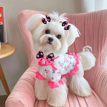3pcs Handmade Double Layer Bow Set, Adjustable Collar & Clip-On Hair Flower, Pet Grooming Accessories, Suitable For Small And Medium Dogs And Cats, Party And Daily Wear - Multicolor - View 4