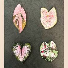 12pcs/9pcs/7pcs/5pcs/4pcs/2pcs Artificial Plant Leaf Fridge Magnets, Fun Decorative Magnetic Stickers, Suitable For Kitchen And Office, Also Suitable For Whiteboard And Refrigerator, Holiday Gift, Valentine's Day Gift, Christmas Gift - Multicolor - View 7