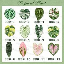12pcs/9pcs/7pcs/5pcs/4pcs/2pcs Artificial Plant Leaf Fridge Magnets, Fun Decorative Magnetic Stickers, Suitable For Kitchen And Office, Also Suitable For Whiteboard And Refrigerator, Holiday Gift, Valentine's Day Gift, Christmas Gift - Multicolor - View 3