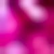 Rosa Fucsia