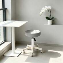 Light Grey Height Adjustable Bar Stool Rolling Stool Salon Stool - Light Grey - View 11