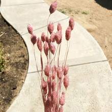 25/50/100Pcs Artificial Gem Grass, Artificial Plants, Multiple Colors Available, For Home Decor, Vase Decoration, DIY Bouquets, Cake Decoration - Pink - View 6