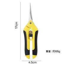 Fruit Harvesting Scissors Grape Pruning Shears Straight Head Pruning Scissors Gardening Shears Effort-Saving Spring Scissors - Spring-loaded Scissors - View 9