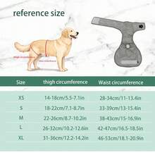Female Dog Sanitary Panties, Dog Diaper, Anti-Harassment, Clean And Dirt-Proof, Washable, Comfortable And Durable, Dog Comfort Panties - Grey - View 2