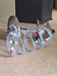 Mainan Terowongan Kucing Berbentuk S, Terbuat dari Jaring Logam dan Kain Kasa dengan Desain Tambal Sulam, Dapat Dilipat dan Dilengkapi Suara, Sempurna untuk Hiburan di Dalam Rumah dan Meredakan Stres. - MultiWarna - View 1