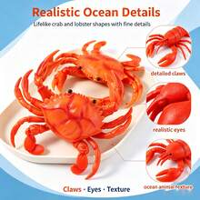 1pcsSimulation Red Lobster Crab Squeaky Toy, Soft Rubber Sea Creature Squeeze Fidget Toy, Stress Relief Prank Decompression Toy - Multicolor - View 4