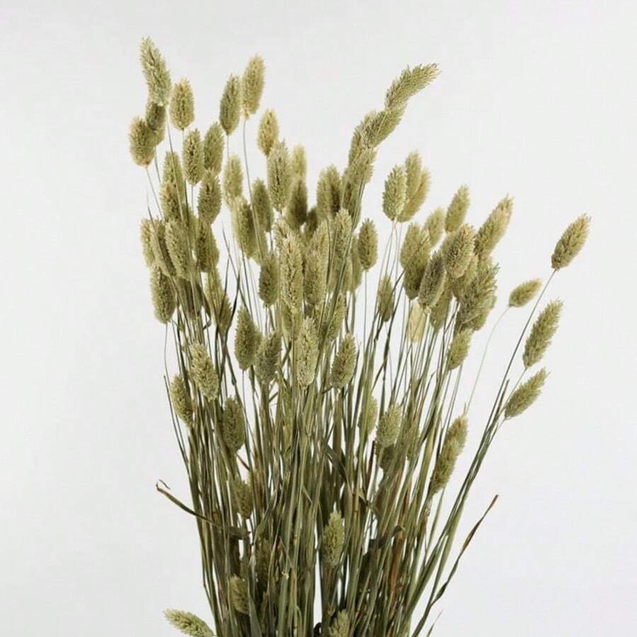 25/50/100件 人造寶石草,人造植物,多色可選,適用於家居裝飾、花瓶裝飾、DIY花束、蛋糕裝飾 - 原色 - 查看 1