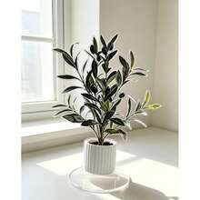 1pc 2D Flat Printed Acrylic Artificial Olive Tree Mini Potted Plant, Faux Olive Plant Decor For Home, Restaurant, Office Desk And Windowsill, Holiday Birthday Party Scene Decoration - Multicolor - View 6