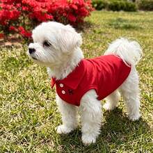 Red Pet Polo Shirt, Breathable Pearl Fabric, Suitable For Poodle And Bichon Frise, Soft And Comfortable, Suitable For Spring, Summer, Autumn Outdoor Or Beach Wear - Multicolor - View 3