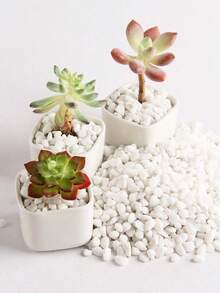 1pc 100/300/500/800g White Pebble Stone For Potted Plants, Succulents, Greenery, Garden, Balcony, Paving, Christmas Tree, Snow-Like Decorative Stone - Multicolor - View 6