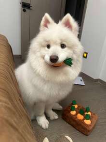 Carrot Pattern Dog Snuffle Mat, Interactive Foraging Puzzle Pet Toy, Soft Plush Washable Slow Feeding Training Mat, Stress Relief Sniffing Mat For Small And Medium Cats And Dogs - Multicolor - View 4
