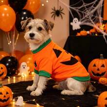1pc Halloween Pumpkin Head New Style Dog Clothes T-Shirt With Sleeves, Breathable And Comfortable - Orange - View 6