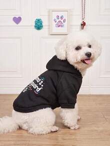 LUCKIE PAL 1pc Mama's.Bodyguard Slogan Print Pet Sweatshirt, Anti-Flea, Reduce Shedding, Thermal Insulation, Breathable, Suitable For Cats And Dogs, Indoor And Outdoor - Multicolor - View 5