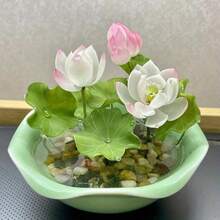 Bonsai - 11 - View 2
